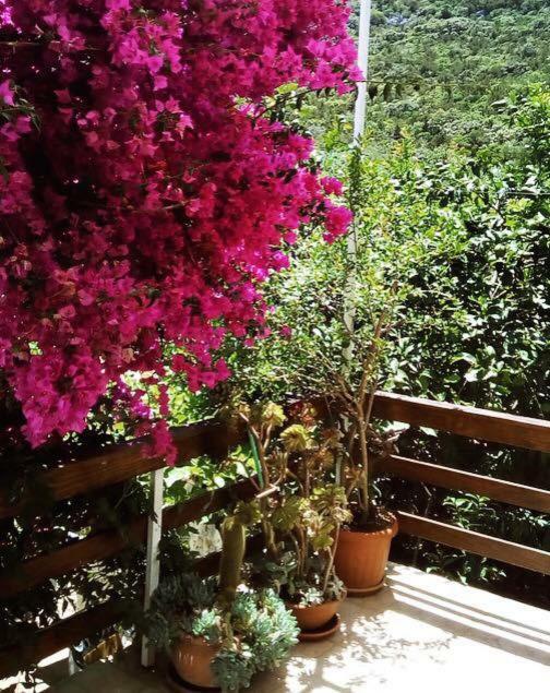 Appartement Faros Oasis à Gdinj Extérieur photo