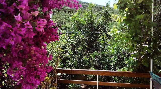 Appartement Faros Oasis à Gdinj Extérieur photo
